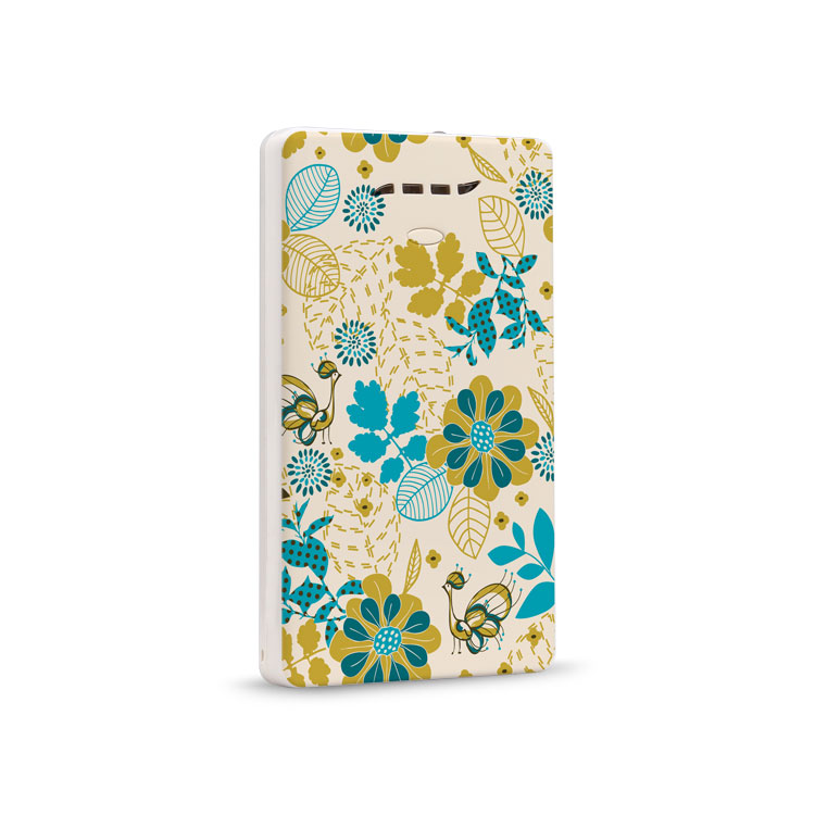 Yishang Art Power Bank – Youthful Pattern LS-B500