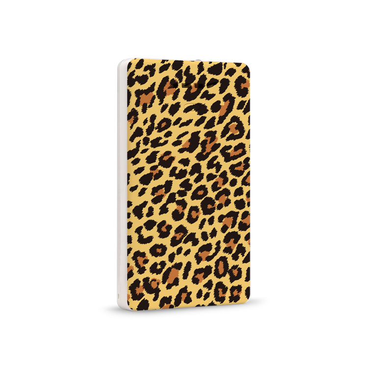 Yishang Art Power Bank – Leopard Print LS-B500