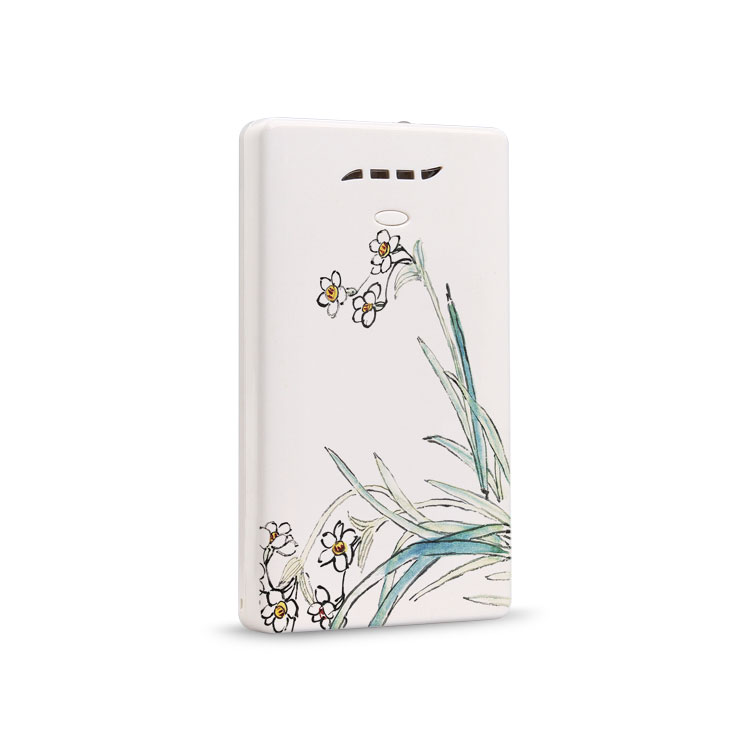 Yishang Art Power Bank – Clivia LS-B500