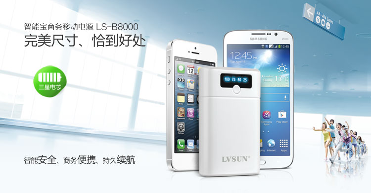 Smart Business Power Bank LS-B8000