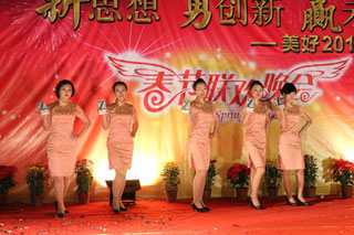 LVSUN龙威盛2013春节联欢晚会 移动电源产品展示