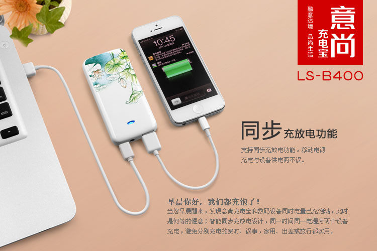 Yishang Art Power Bank – Lovebirds LS-B400 — thumbnail 11